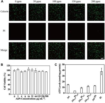 AuPt Bimetallic Nanozymes for Enhanced Glucose Catalytic Oxidase